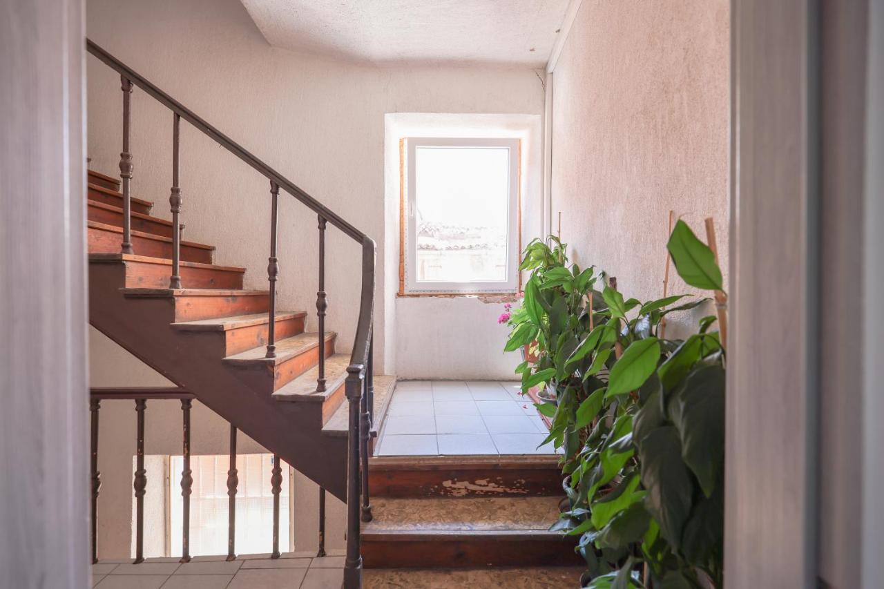 Apartma Cozy Cvita Zadar